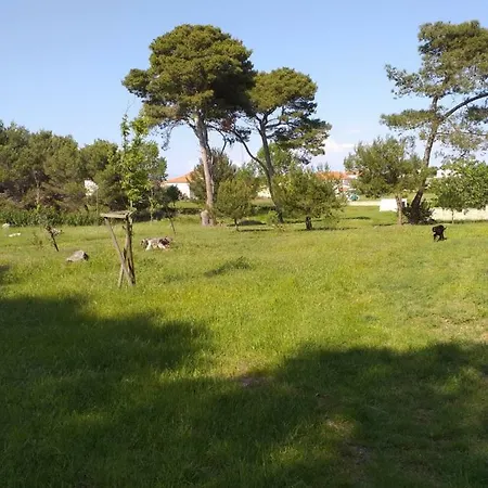 Lejlighed Matija's House *